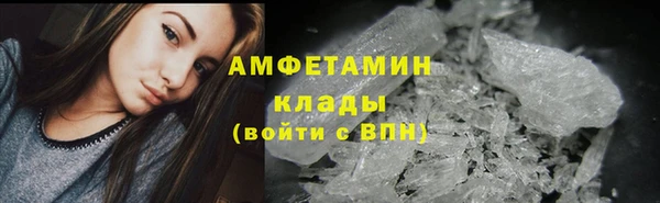 прущие грибы Нягань