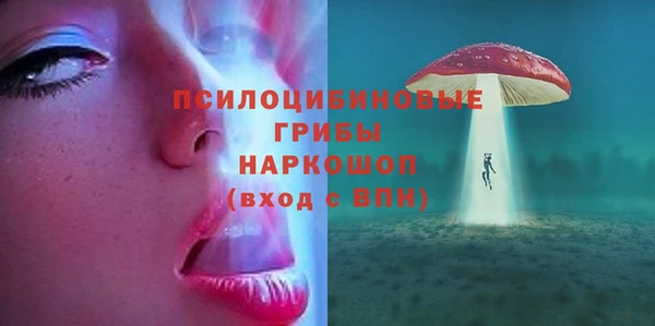 прущие грибы Нягань