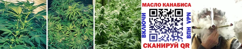 ТГК THC oil Элиста