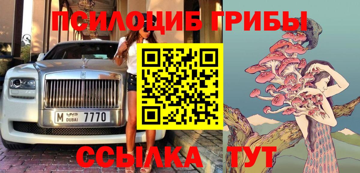 Галлюциногенные грибы GOLDEN TEACHER  Галлюциногенные грибы Psilocybine cubensis  Элиста  где купить наркоту  Вход с VPN 