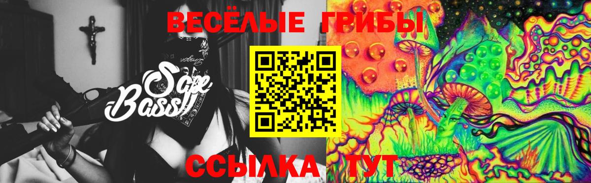 Псилоцибиновые грибы MAGIC MUSHROOMS Элиста